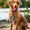 Dog Waste Bag Dispenser view 2