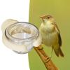 Bird Bowls, Shotet Food Dish view 3