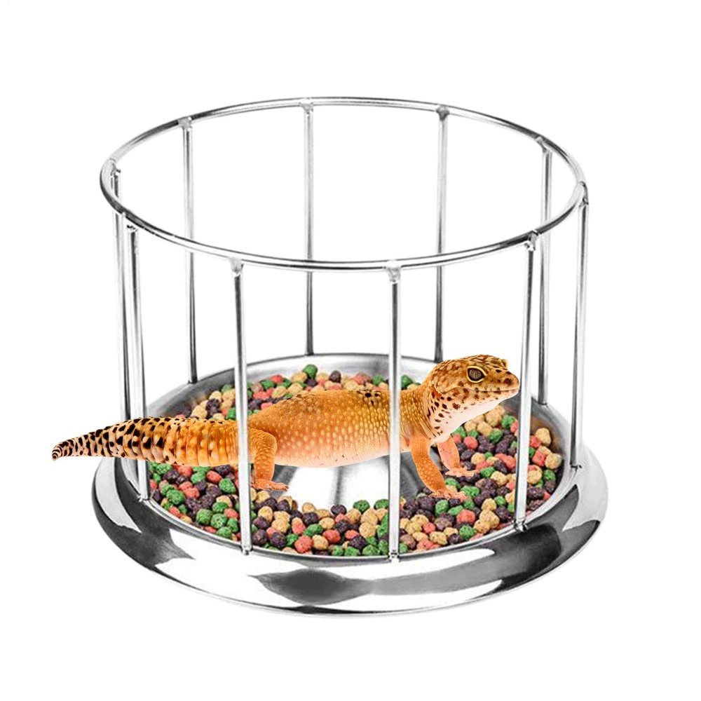 Reptile Feeding Dish - Stainless Steel
