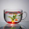 SDA287MZ Egg-Shaped Desktop Glass Aquarium view 4
