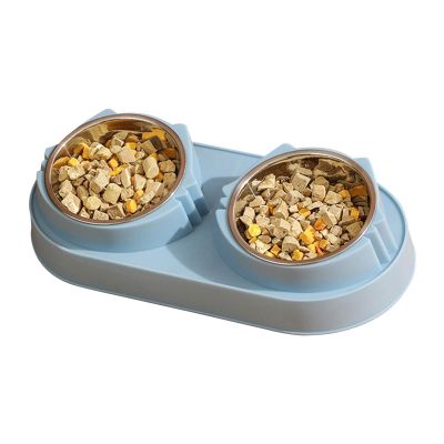 Food and Water Bowl Set - Stainless Steel Elevated Bowls