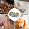 Food and Water Bowl Set - Stainless Steel Elevated Bowls view 2