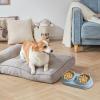 Food and Water Bowl Set - Stainless Steel Elevated Bowls view 3