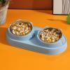 Food and Water Bowl Set - Stainless Steel Elevated Bowls view 4