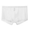 Men's Sexy Mesh Thongs with O-Ring and Open Crotch view 1