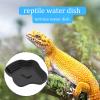 Reptile Water Bowl view 4
