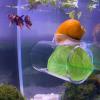 Fish Tunnel for Aquarium view 2