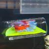 Betta Aquarium Tunnel Leaf Pad Hideout view 3