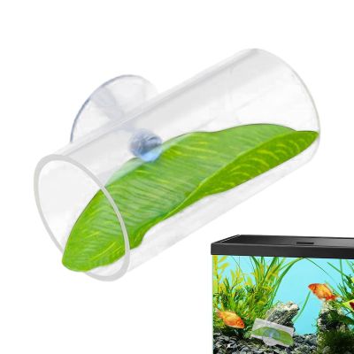 Betta Fish Tunnel for Aquarium