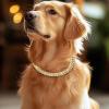 Gold Chain Dog Collar view 2