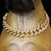 Gold Chain Dog Collar view 3