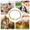 Gold Chain Dog Collar view 4