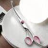 laxreheye Pet Grooming Scissors view 3