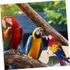 GALPADA Chicken Perch for Birds view 2