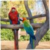 GALPADA Chicken Perch for Birds view 3