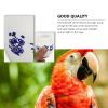 Hemobllo 5-Piece Parrot Food and Water Bowls view 3