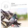 Plastic Pigeon Leg Bands for Breeding and Identification, 100 pcs view 4