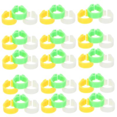 VERDANVERSE 300 Pigeon Leg Bands