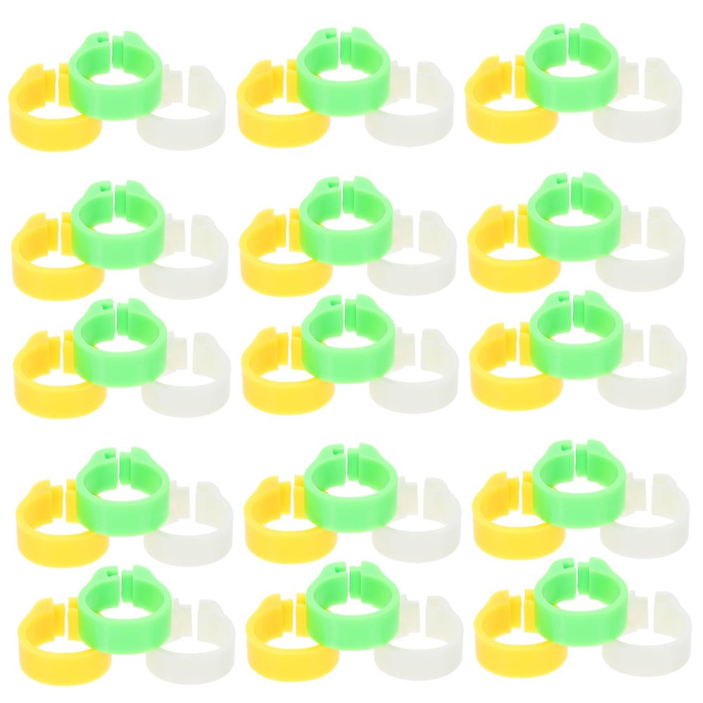 VERDANVERSE 300 Pigeon Leg Bands