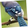 VERDANVERSE 300 Pigeon Leg Bands view 4