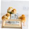WEKAMOS Wooden Parrot Stand view 3