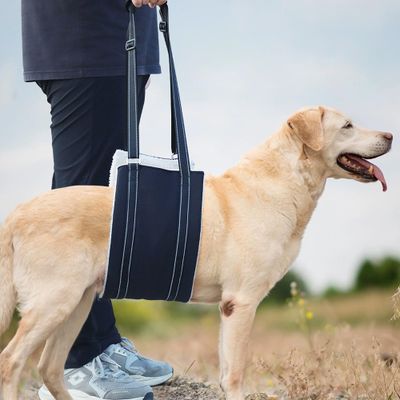 CINY Medium Dog Lifting Harness