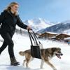 CINY Medium Dog Lifting Harness view 3