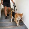 CINY Medium Dog Lifting Harness view 4