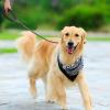 Heavy Duty Dog Leash view 4