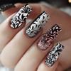 PH PandaHall 3-Piece Floral Nail Stamping Plate Set, 36 Patterns view 4