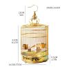 DFGHNBVC Hanging Bird Cage, Gold Metal, 38 cm view 2