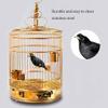 DFGHNBVC Hanging Bird Cage, Gold Metal, 38 cm view 3