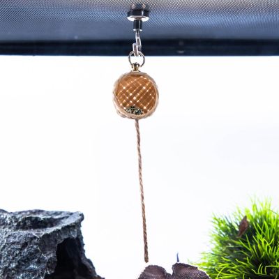 Jumping Spider Hideout