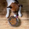 Dog Feeding Mat view 2