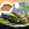 Reptile Water Bowl view 2