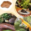 Reptile Water Bowl view 4