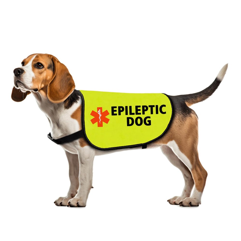 Funny Epilepsy Dog Vest, Slogan Vest, Size L