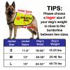 Funny Epilepsy Dog Vest, Slogan Vest, Size L view 2