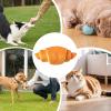 Soft Squeaky Dog Toy view 4