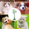 Flea Comb for Dogs and Puppies, Detangling Hair Brush view 4