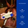 Horse Grooming Brush with Hard Bristles view 3