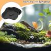 Reptile Water Dish view 3