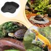Reptile Water Dish view 4