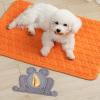 Silicone Dog Lick Mat - Frog Design view 2