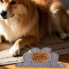 Silicone Dog Lick Mat - Frog Design view 3