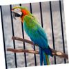 HOMOBABE 4-Piece Natural Wood Parrot Perch view 4
