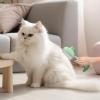 Flea Comb for Cats and Dogs view 2