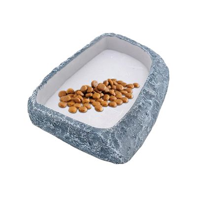 Bearded Dragon Water Bowl, Shallow Feeding Dish