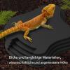 Reptile Water Bowl with Ramp view 3