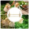 Wooden Bird Perch for Chicken Coops, Sparrows, Cockatiels, Parakeets, Parrots and Pigeons view 4
